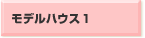fnEXP